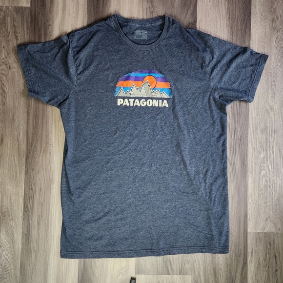 Patagonia Other - PATAGONIA MENS XL TSHIRT
